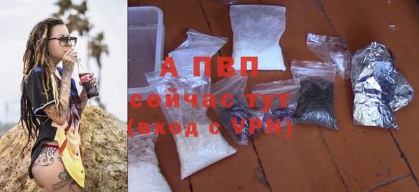 стафф Абинск